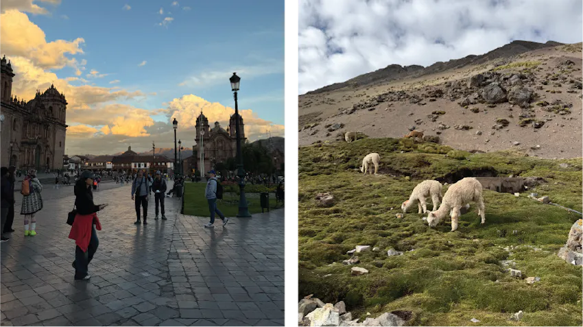 On the left, the image displays popular paved streets in the city of Cusco. On the right, llamas are grazing on a grassy hillside near Cusco.