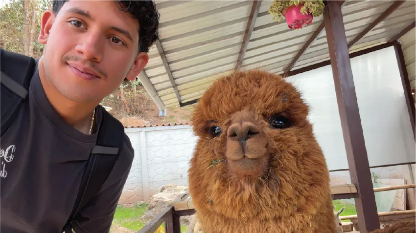 SDSU student, David, poses with a cute llama, during his internship in Cusco, Peru