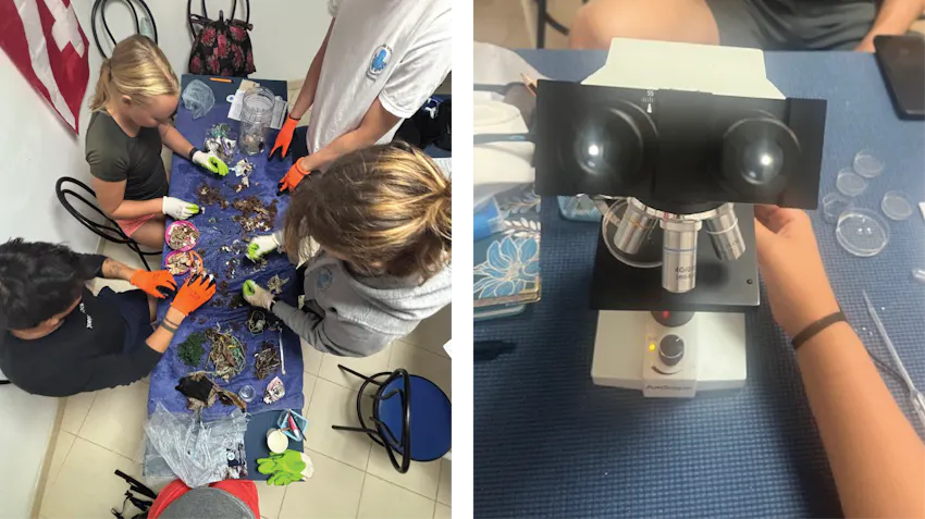 On the right, students are pictured from above, sorting marine debris. On the left, a microscope is pictured