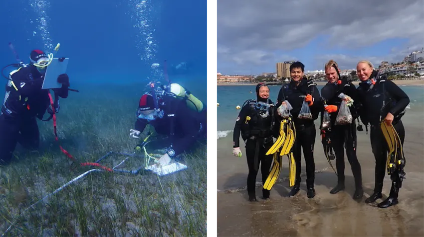 On the right, students are pictured diving underwater, and recording information from the seabed. On the left, Thalie and friends are pictured, standing on the beach, wearing their diving equipment