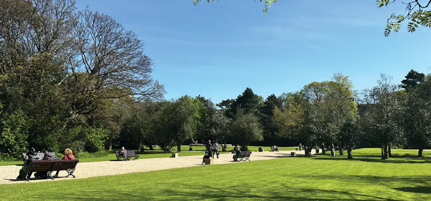 Photo of a grassy park in Dublin on a clear, sunny day