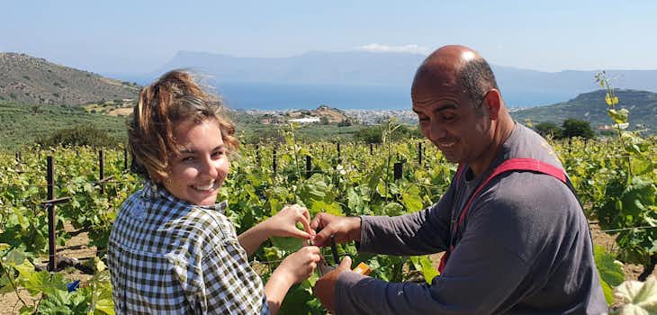 Viticulture & Agriculture internships in Greece