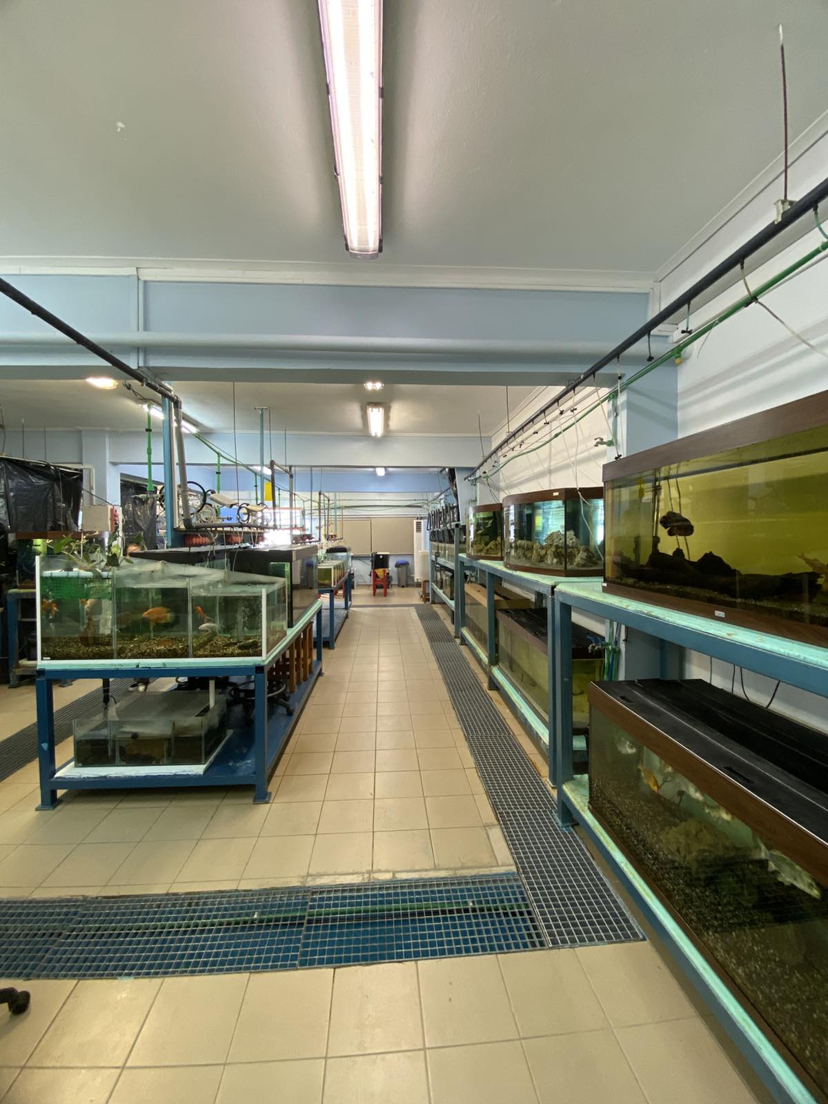 Aquaculture & Fisheries Internships in Greece, Intern Abroad HQ