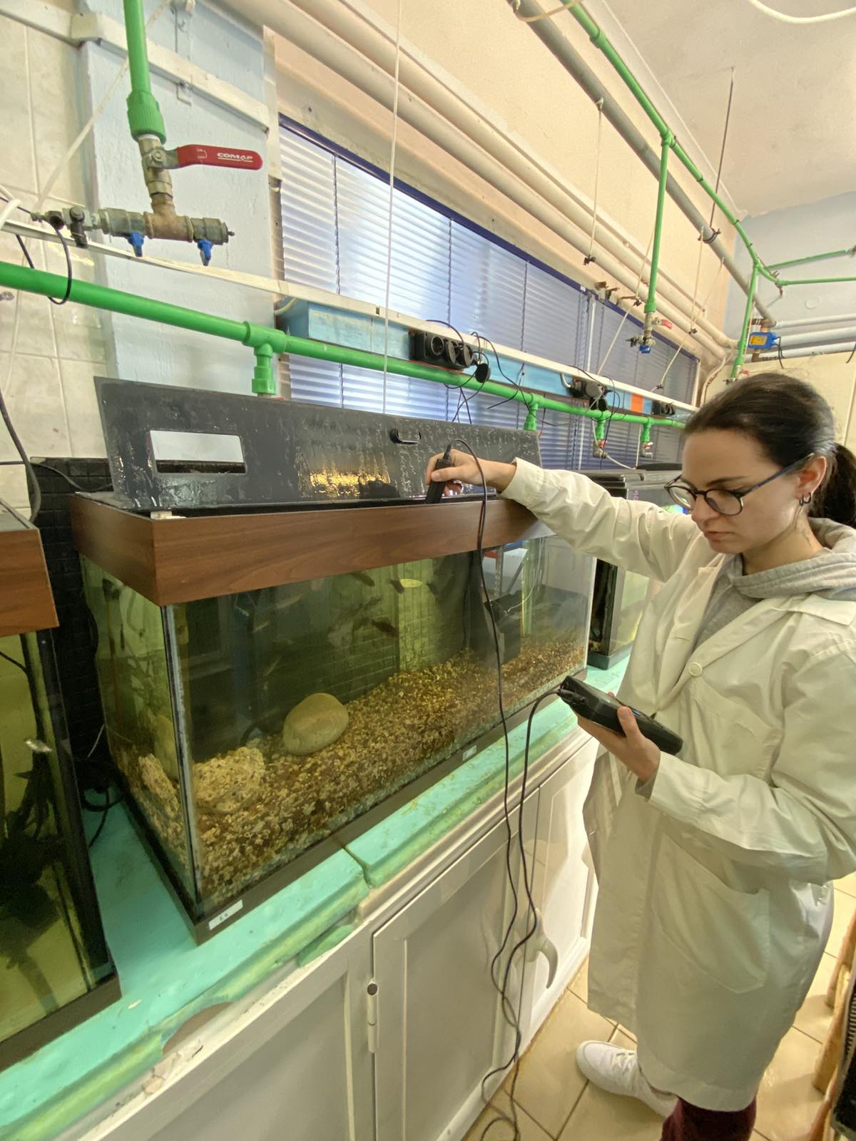 Aquaculture & Fisheries Internships in Greece, Intern Abroad HQ