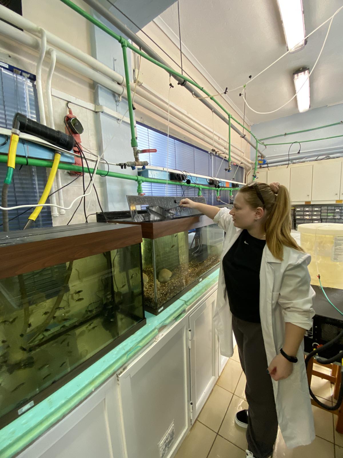 Aquaculture & Fisheries Internships in Greece, Intern Abroad HQ