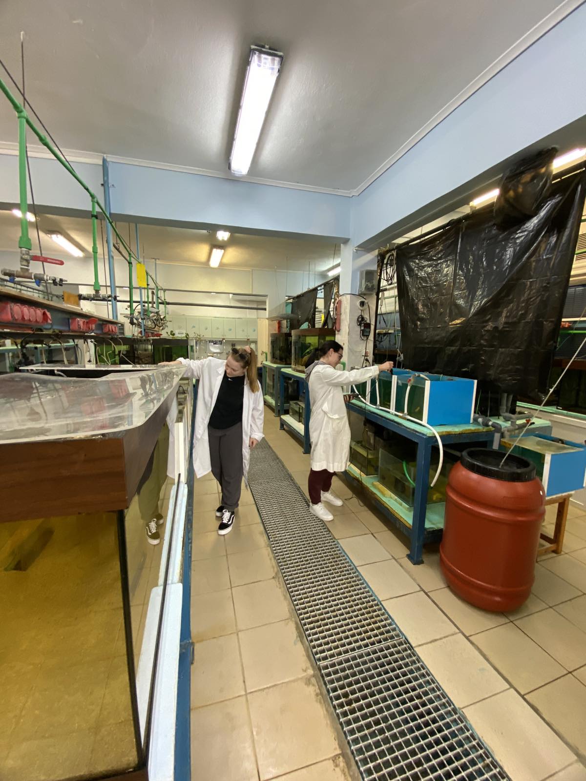 Aquaculture & Fisheries Internships in Greece, Intern Abroad HQ