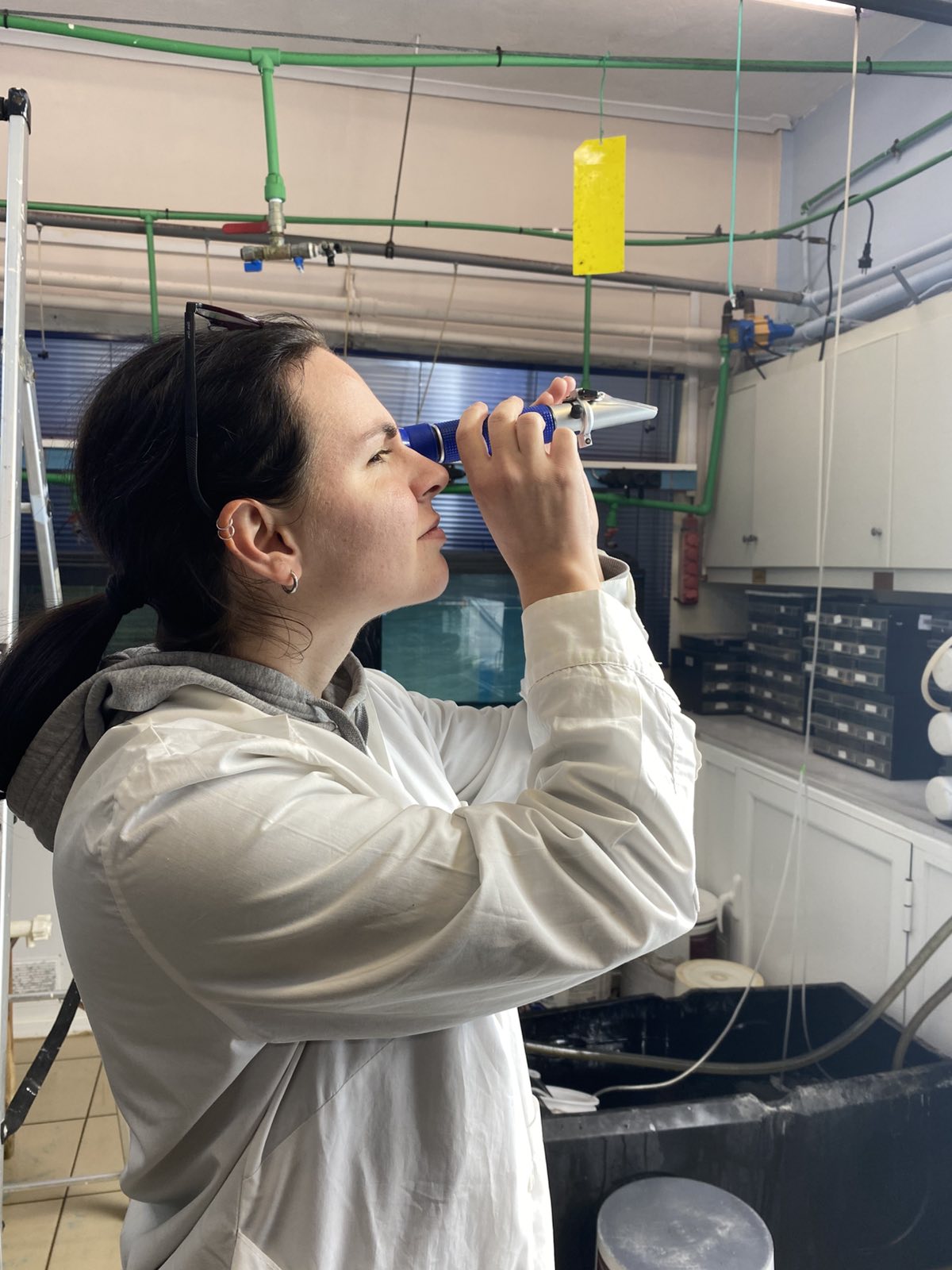 Aquaculture & Fisheries Internships in Greece, Intern Abroad HQ