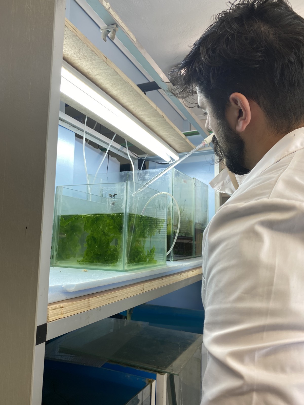 Aquaculture & Fisheries Internships in Greece, Intern Abroad HQ