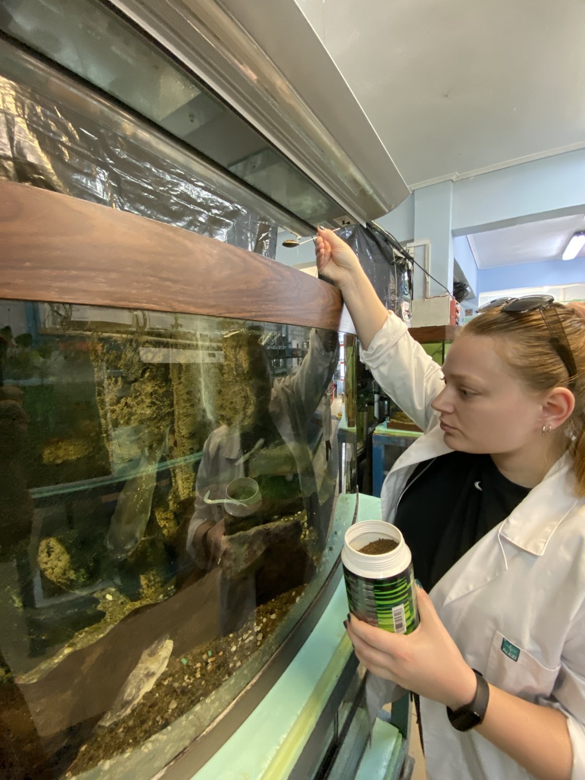 Aquaculture & Fisheries Internships in Greece, Intern Abroad HQ