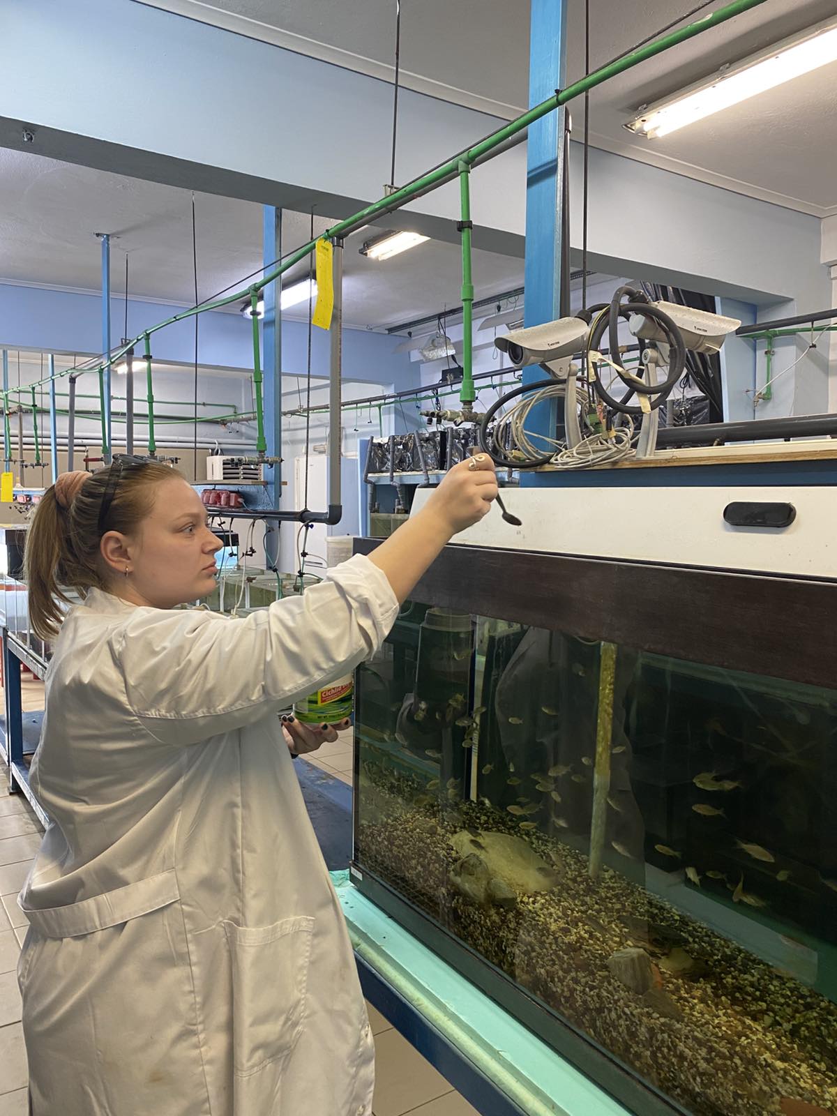 Aquaculture & Fisheries Internships in Greece, Intern Abroad HQ