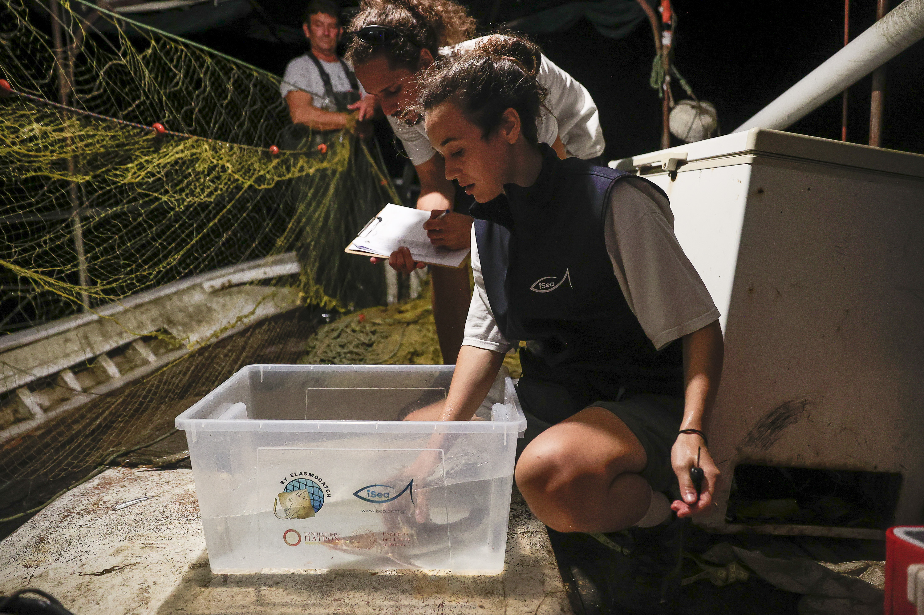 Aquatic Conservation Internships in Greece, Intern Abroad HQ