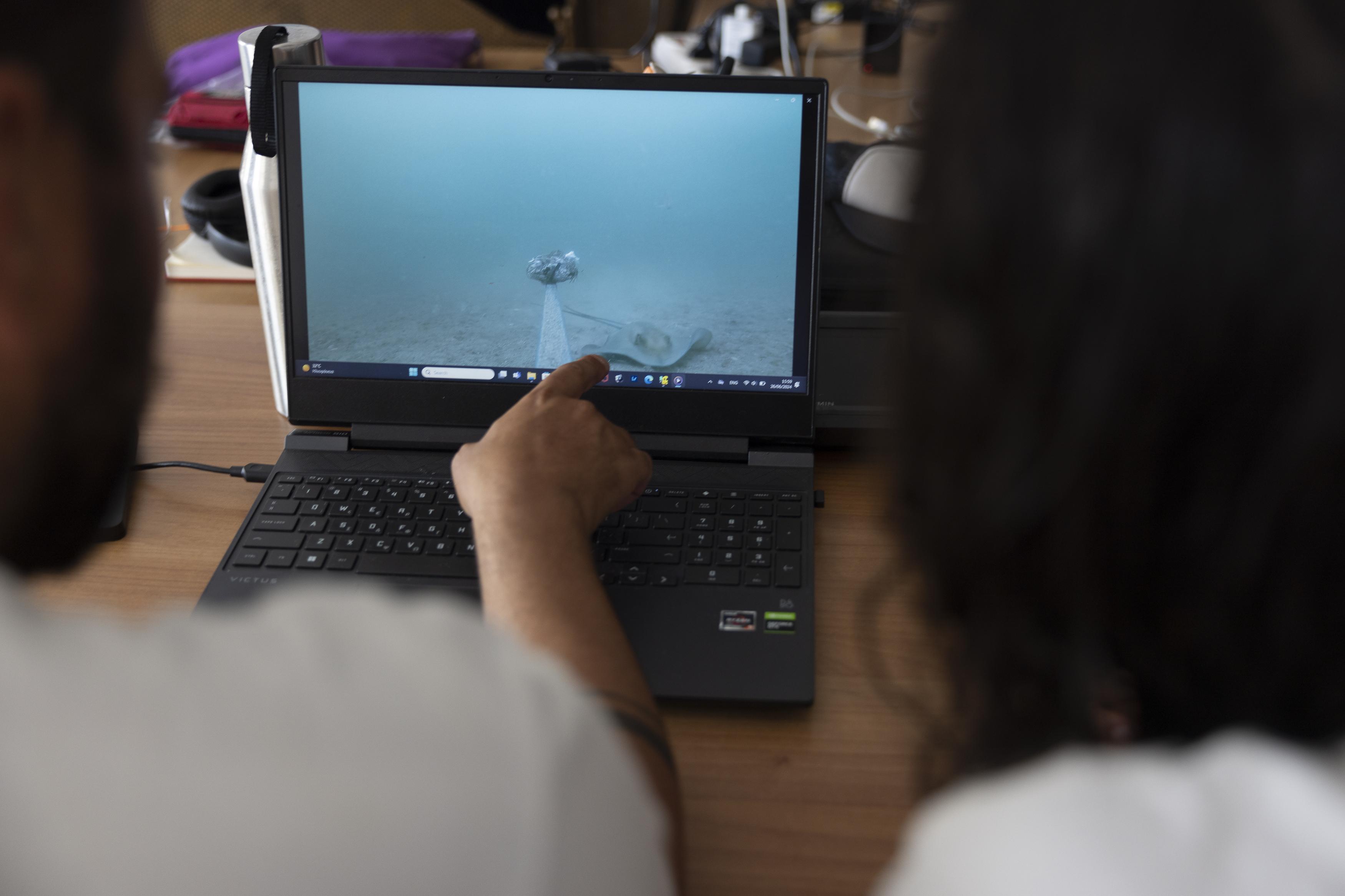 Aquatic Conservation Internships in Greece, Intern Abroad HQ