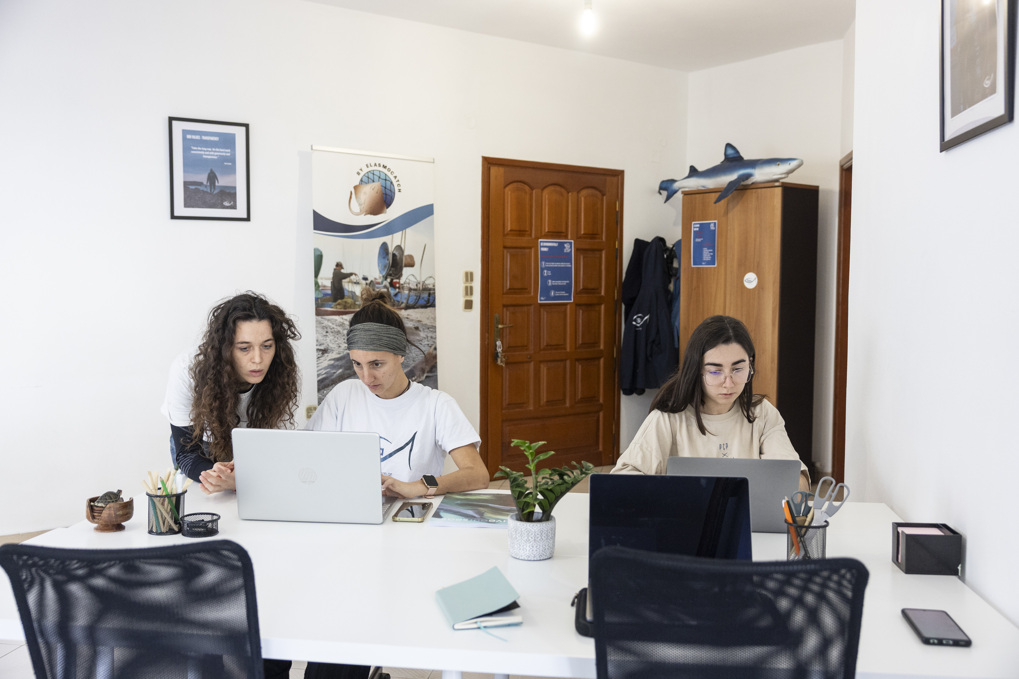 Aquatic Conservation Internships in Greece, Intern Abroad HQ