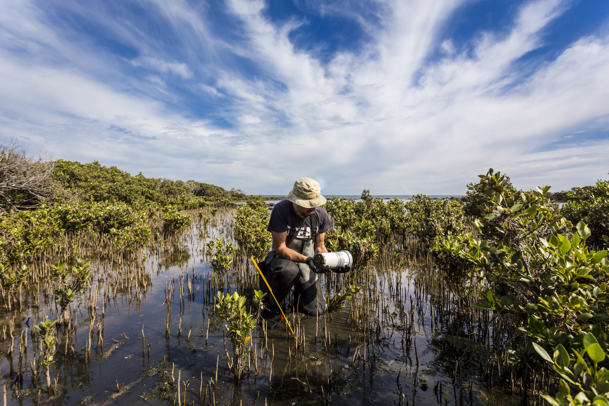 Conservation research student taking a sample in wetlands environment
