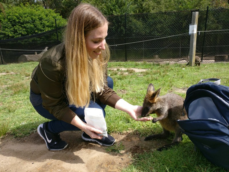 Internships in Sydney, Australia, with Intern Abroad HQ