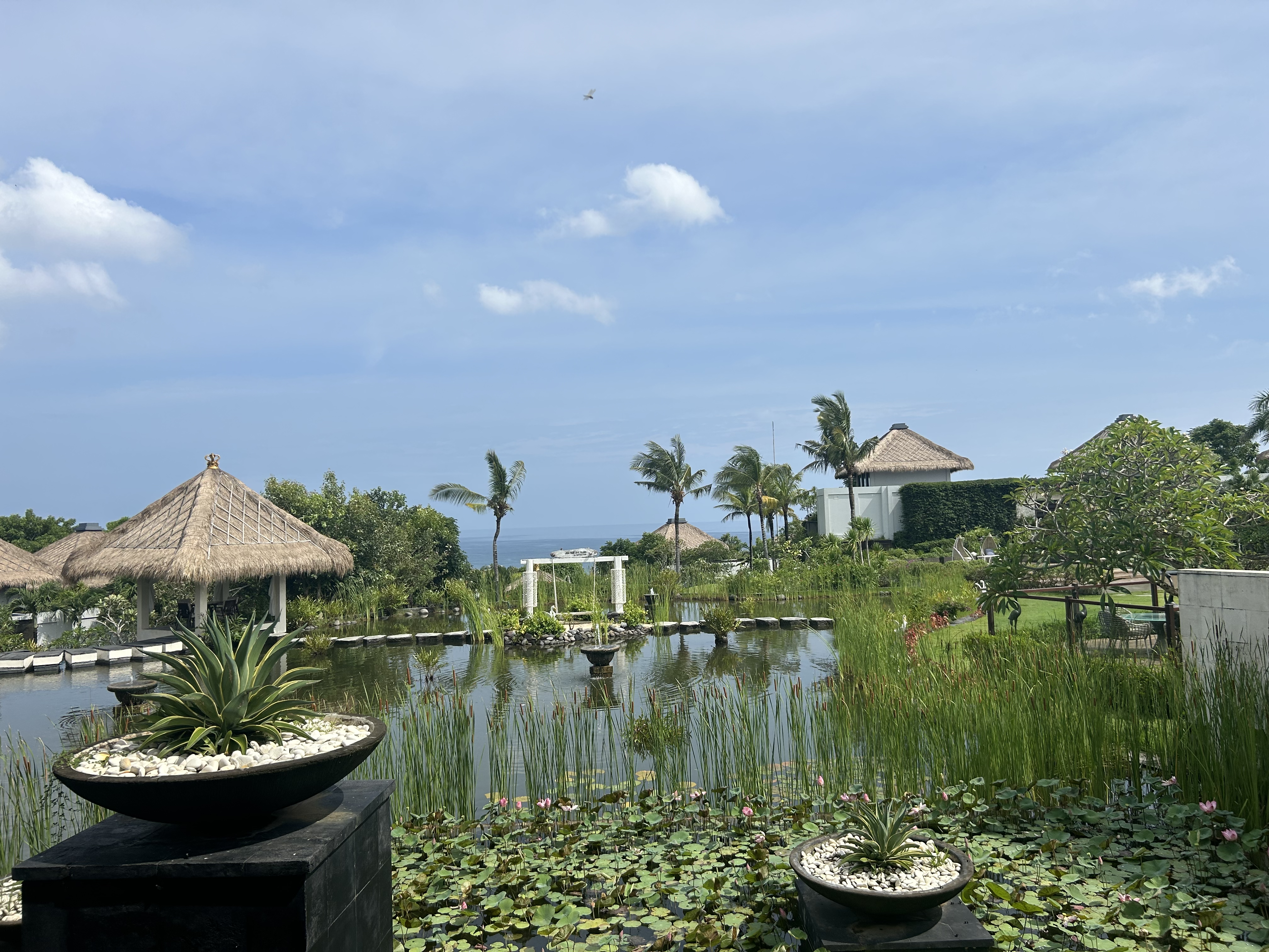 Intern Abroad in Bali, Intern Abroad HQ