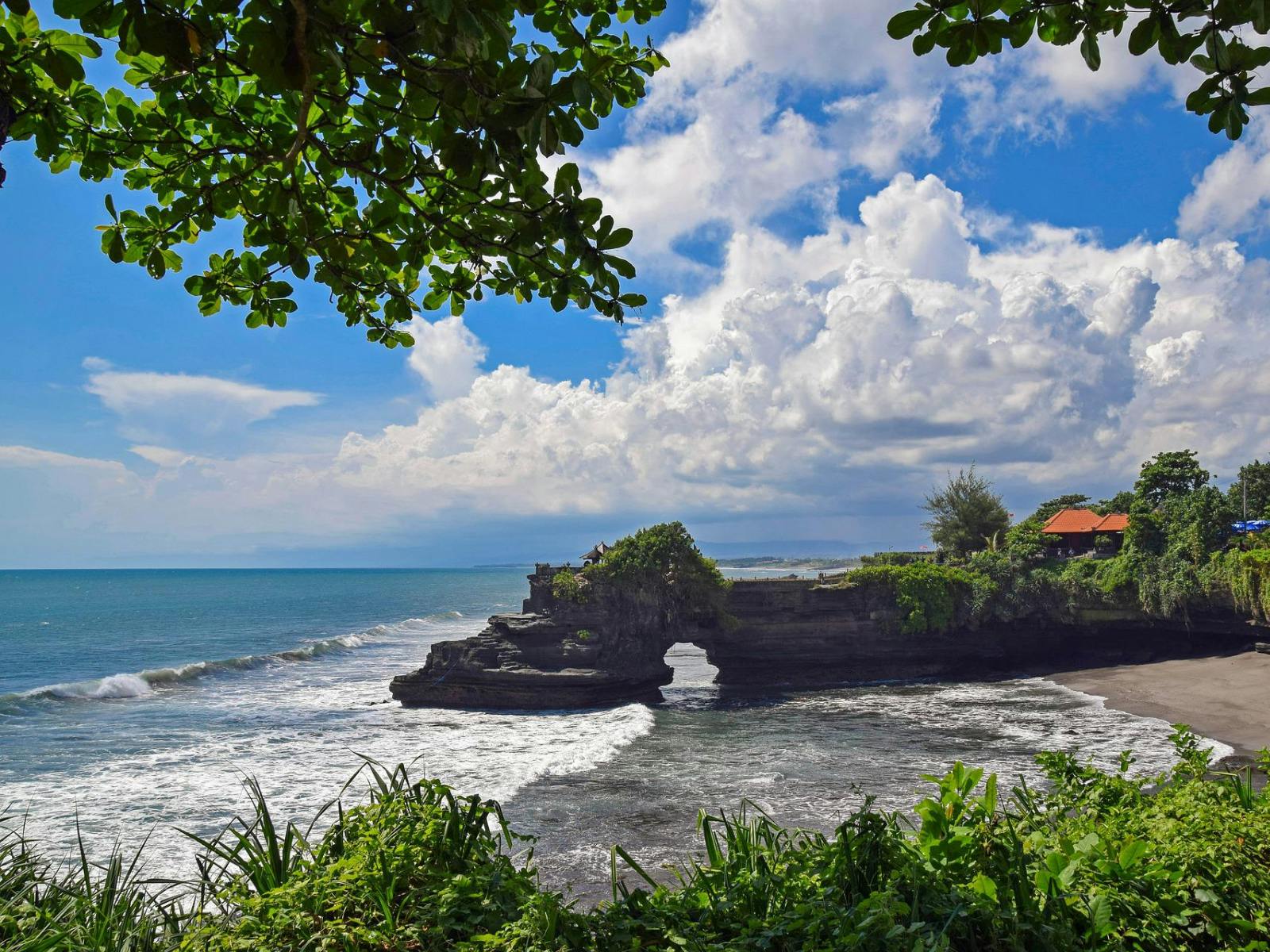 Internships in Bali
