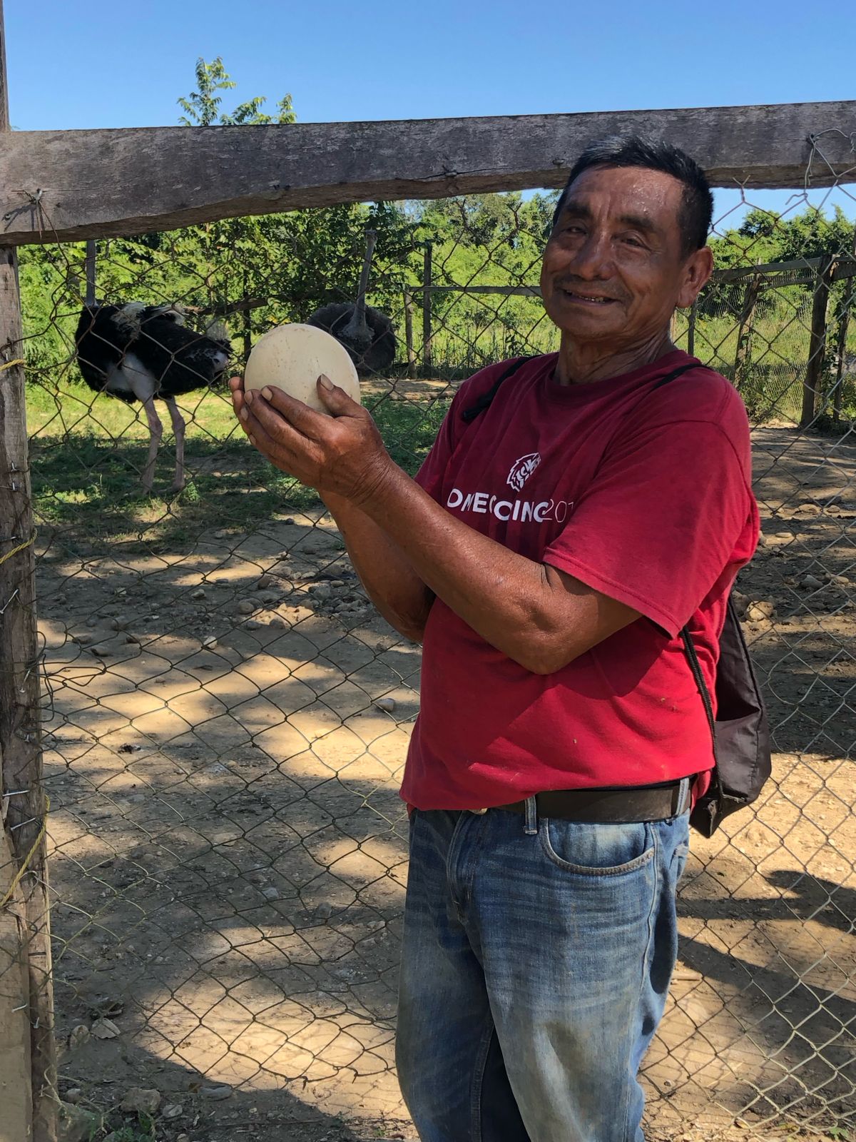 Medical internships in Belize, Intern Abroad HQ