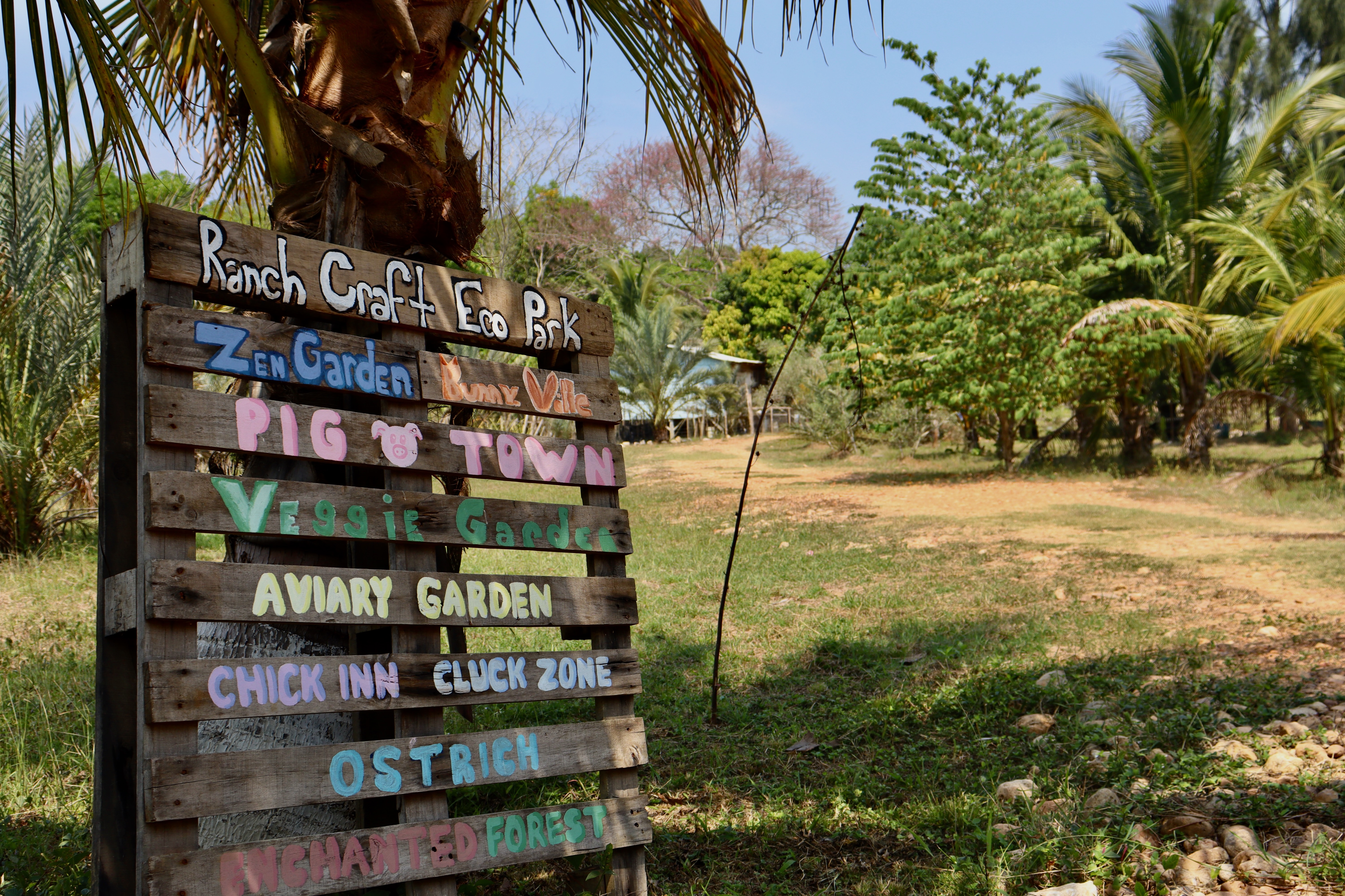 Animal Welfare and Agriculture internships in Belize, Intern Abroad HQ