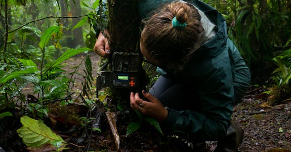Environmental Conservation internship in Costa Rica
