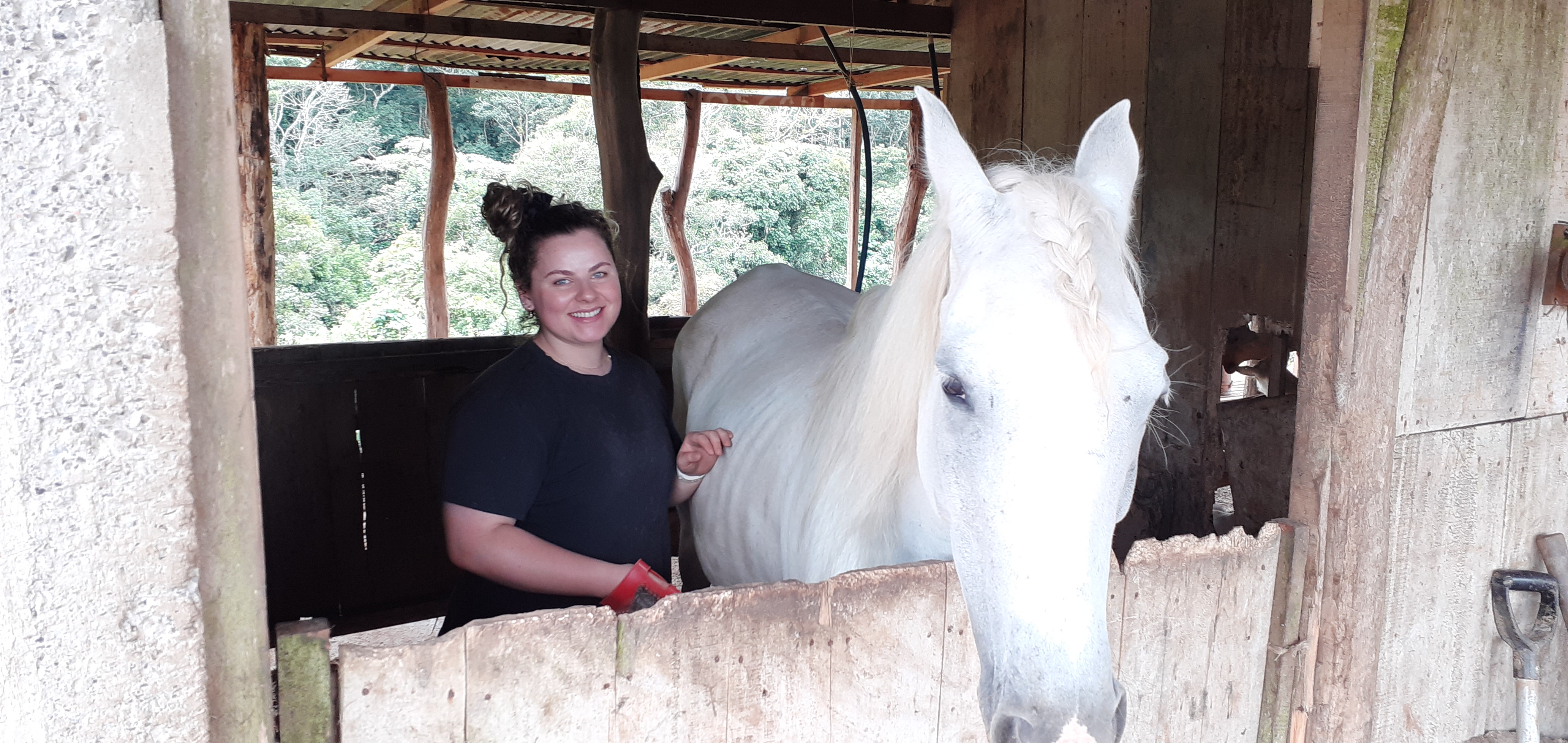 Intern in Costa Rica