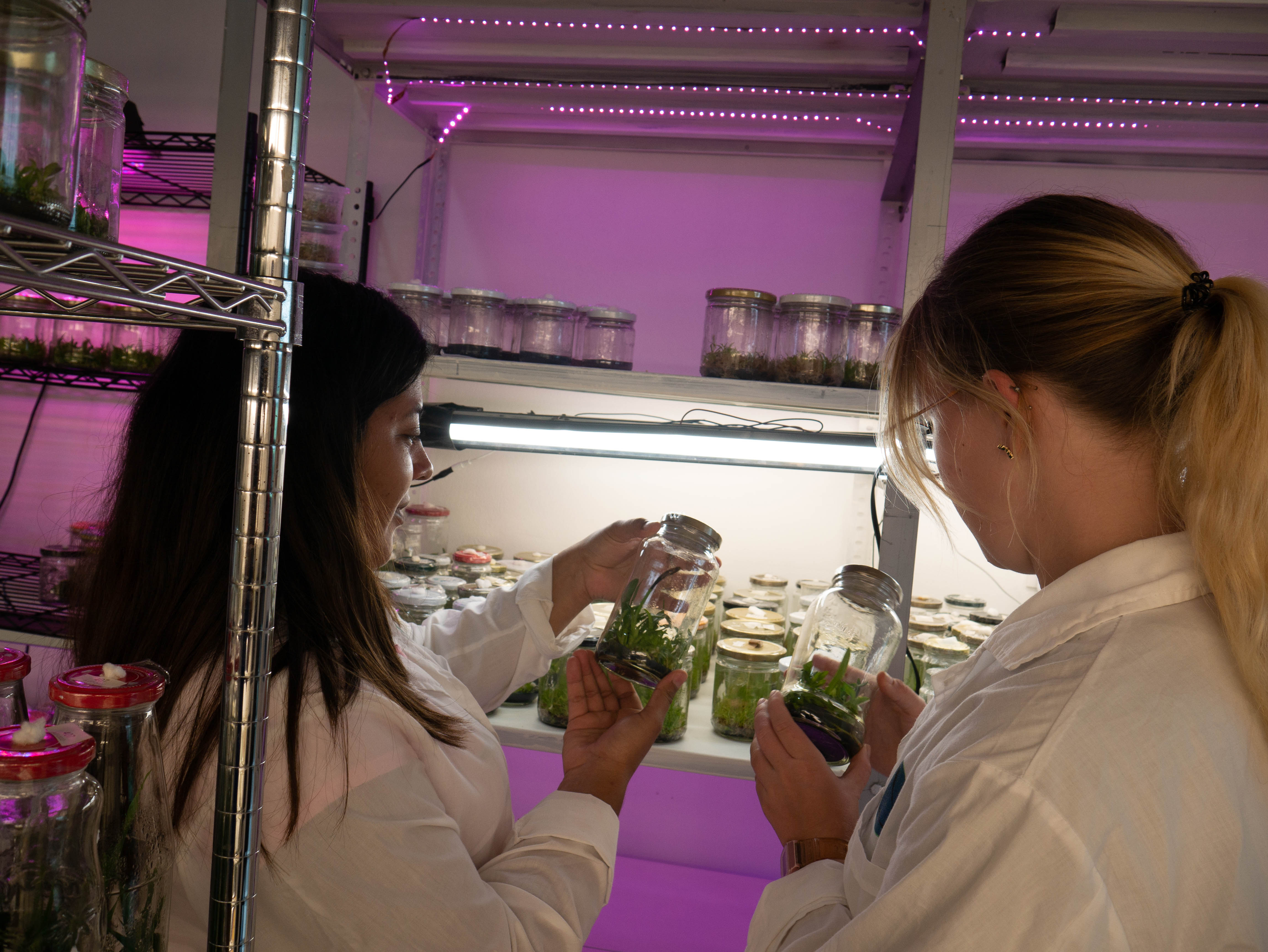 Environmental Conservation interns in Costa Rica, Intern Abroad HQ