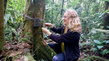 Environmental Conservation Internships in Costa Rica
