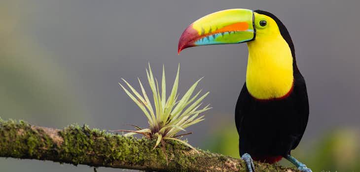 Intern Abroad in Costa Rica with Intern Abroad HQ