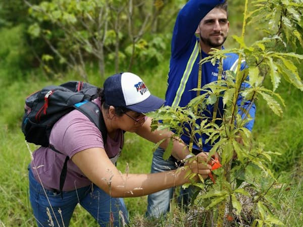 Environmental conservation intern in Costa Rica