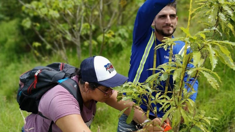 Environmental conservation intern in Costa Rica