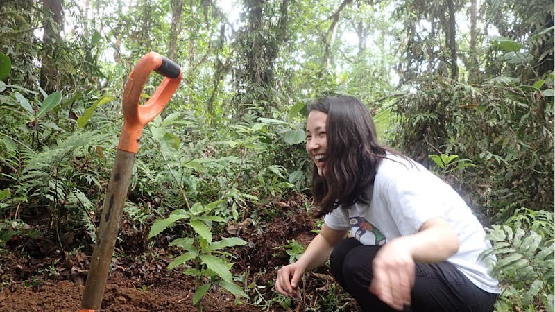 Environmental conservation intern in Costa Rica