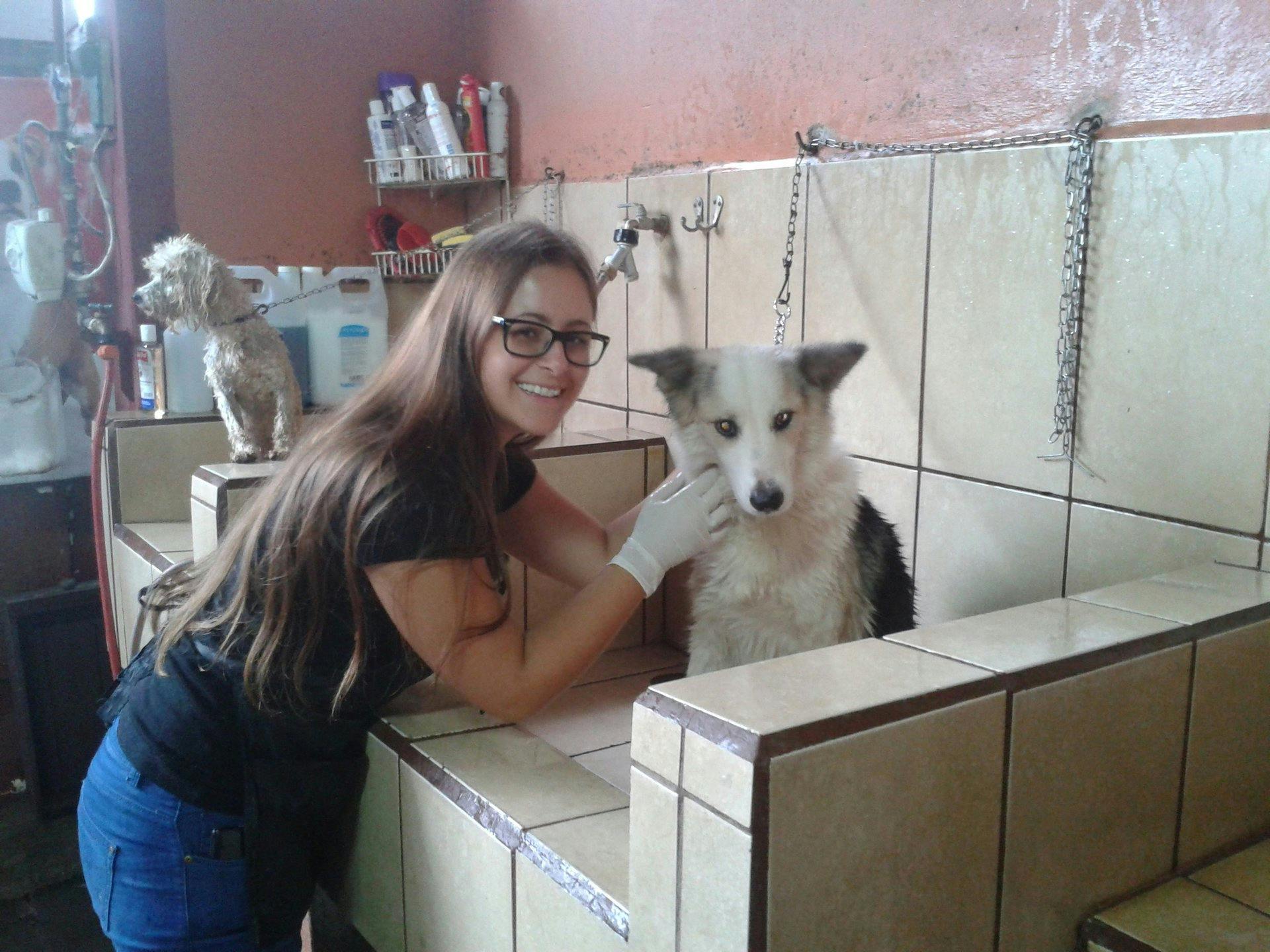 Veterinary & Animal Care Internships in Costa Rica