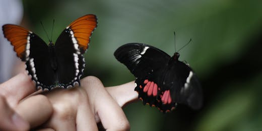 Environmental Conservation