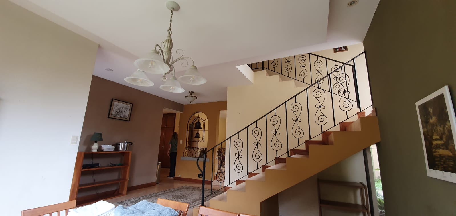 Wildlife Veterinary Internships, Accommodation, Intern abroad in Costa Rica