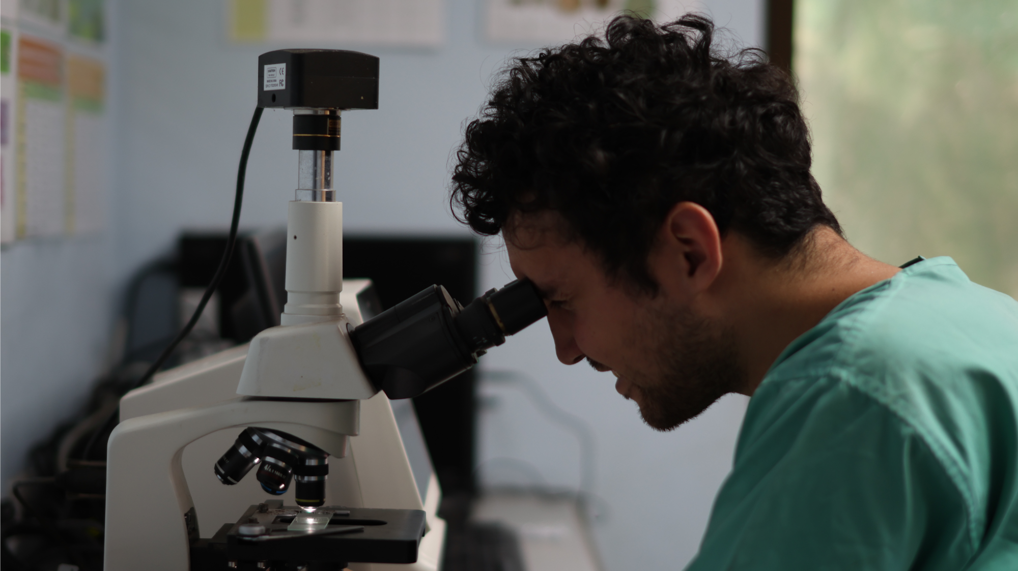 Wildlife Veterinary Internships, Intern abroad in Costa Rica