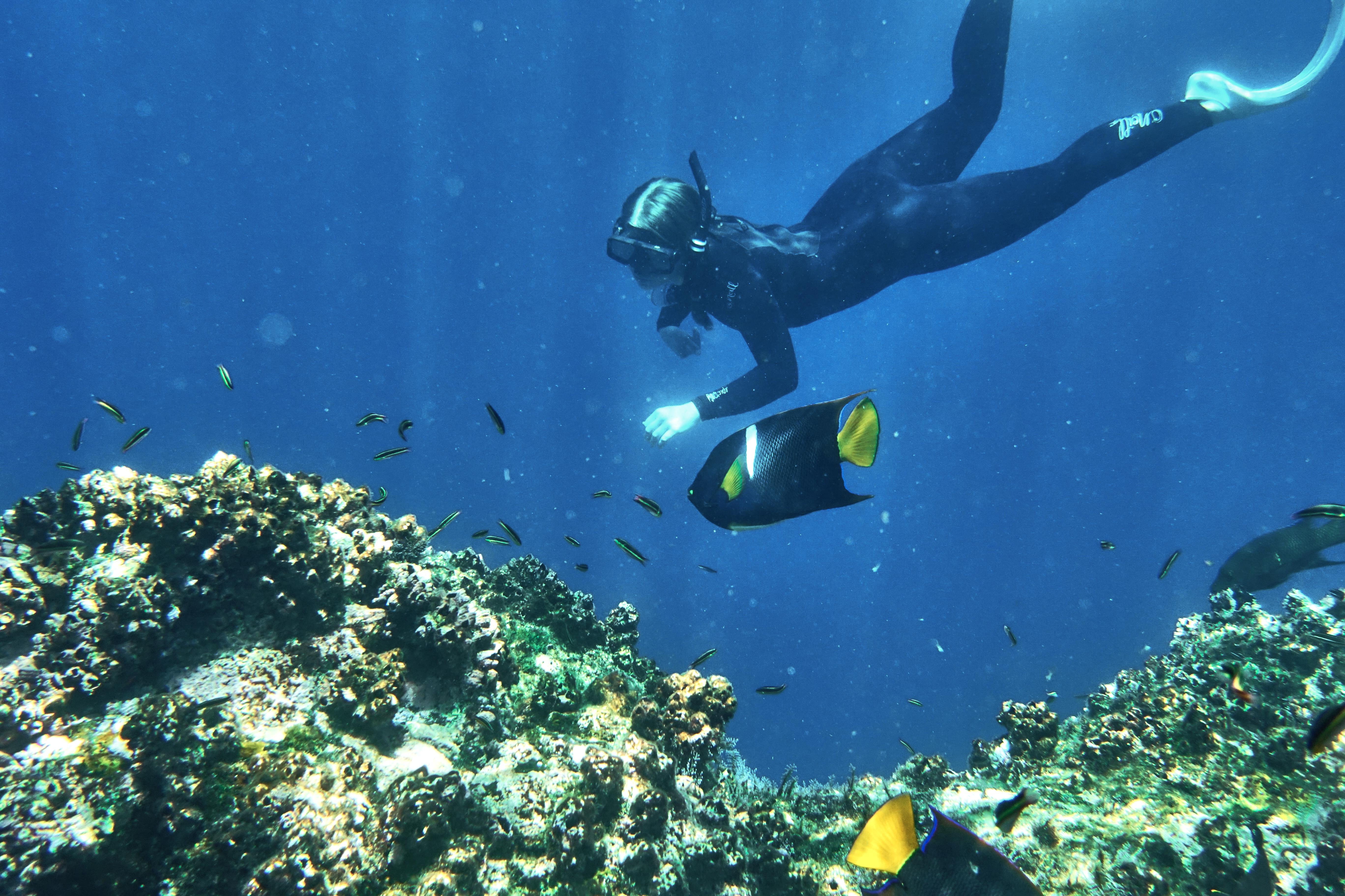 A woman is snorkeling underwater