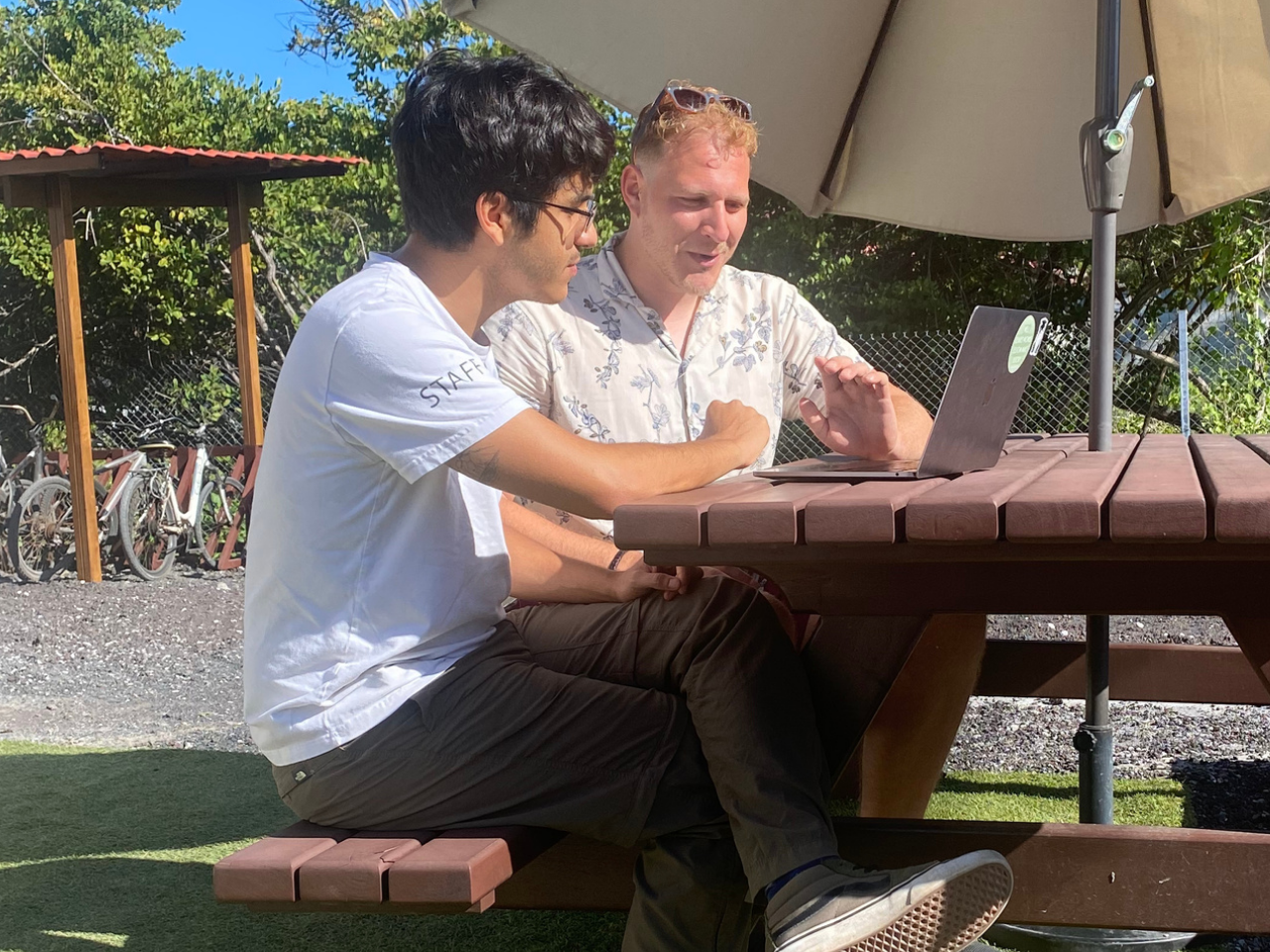 Internship program staff reviewing internship content