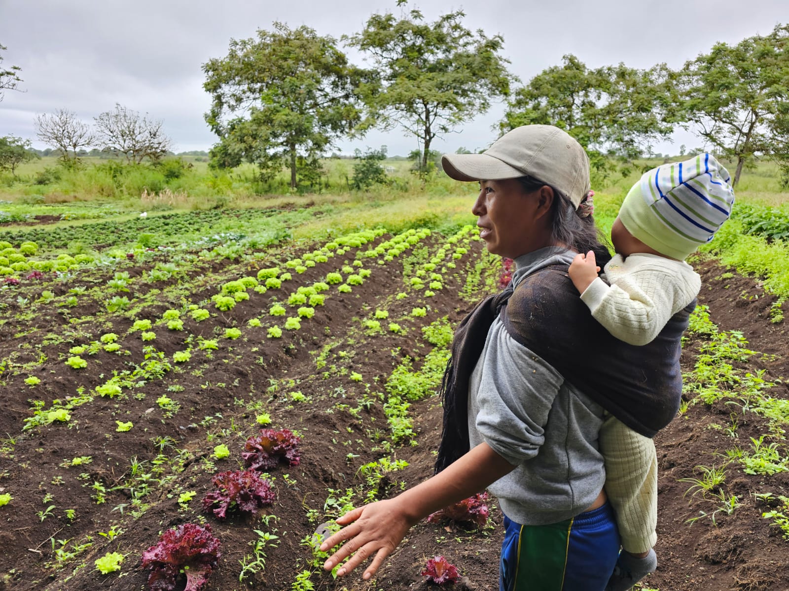 Sustainable farming in the Galapagos Islands community