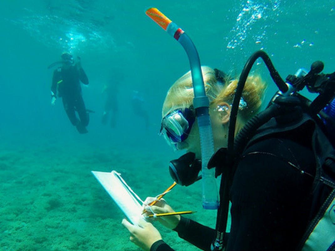 Diving Surveys Marine Conservation internships in Greece