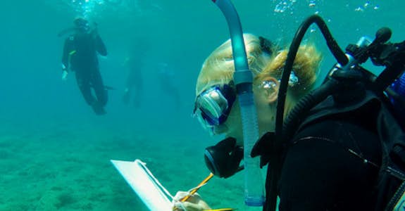 Diving Surveys Marine Conservation internships in Greece