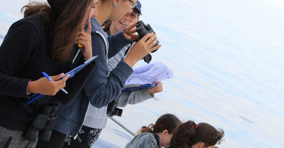 Environmental internship students in Greece