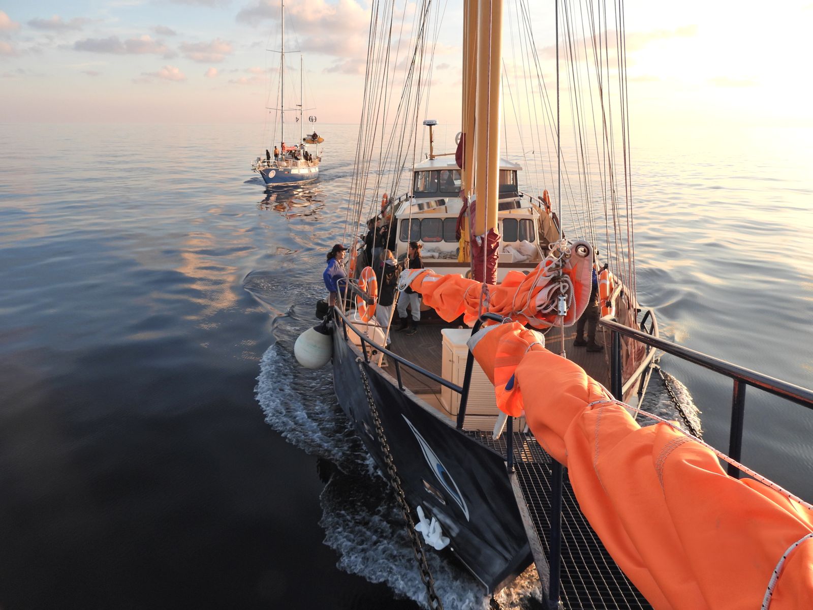 Marine Conservation Research Expedition Internship in Greece