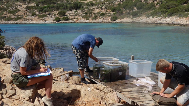 Interns working in a marine mammal sanctuary in Lipsi, Greece