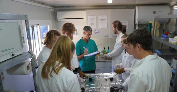 Microplastics laboratory internships in Greece
