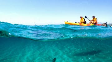 Aegean Marine Science & Island Conservation Internships in Samos