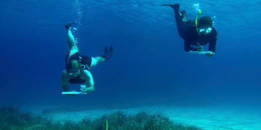 Aegean Marine Science & Island Conservation Internship in Greece