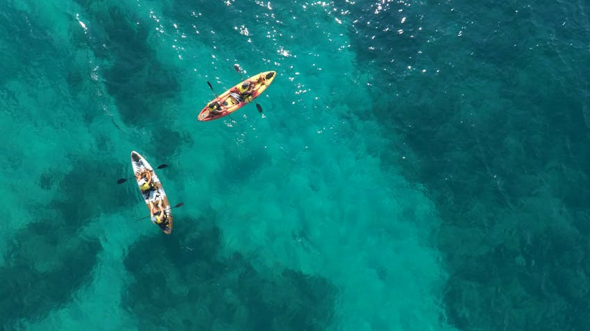 Environmental and Marine Sciences