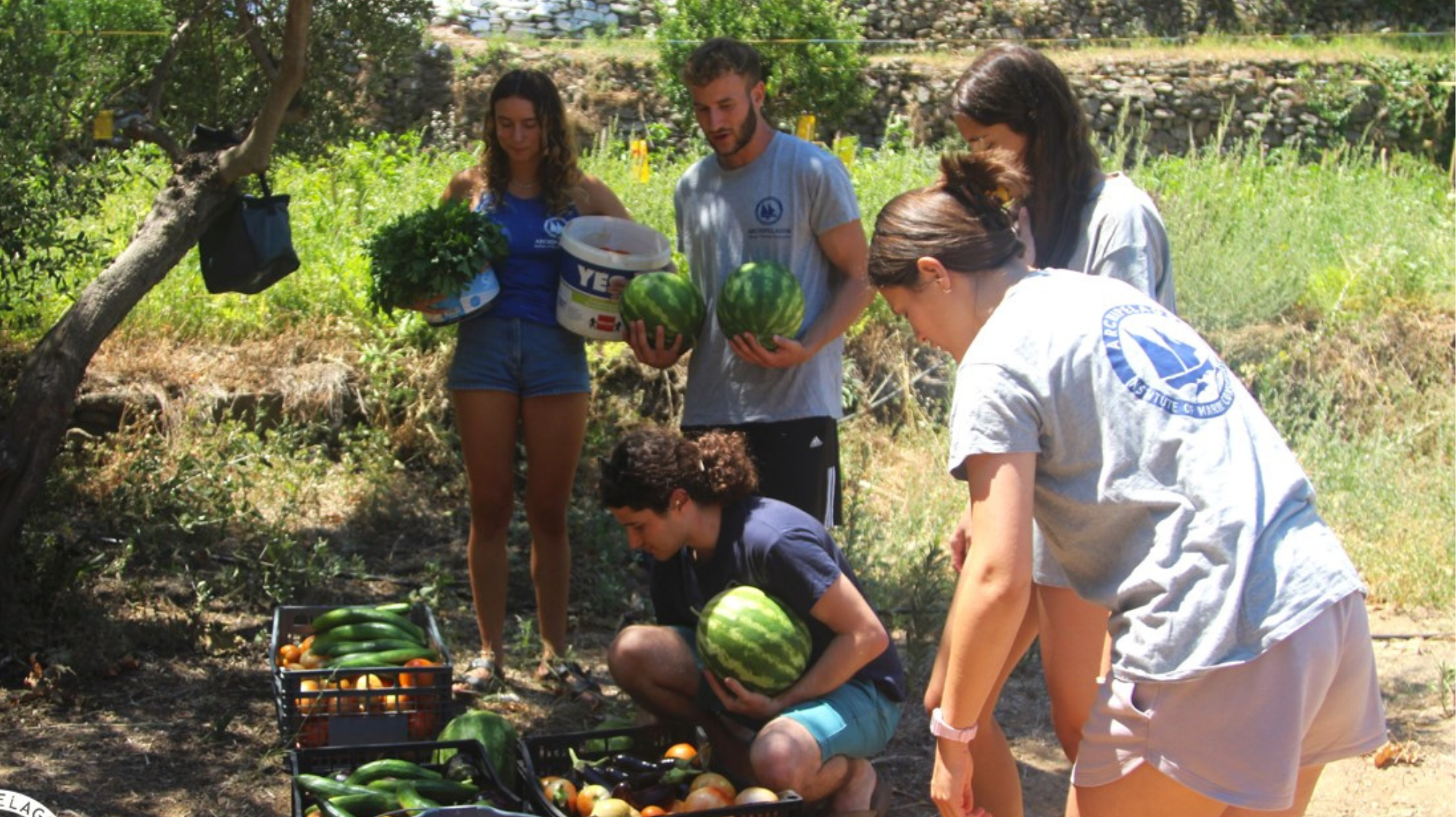 Samos accommodation for interns in Greece, Intern Abroad HQ