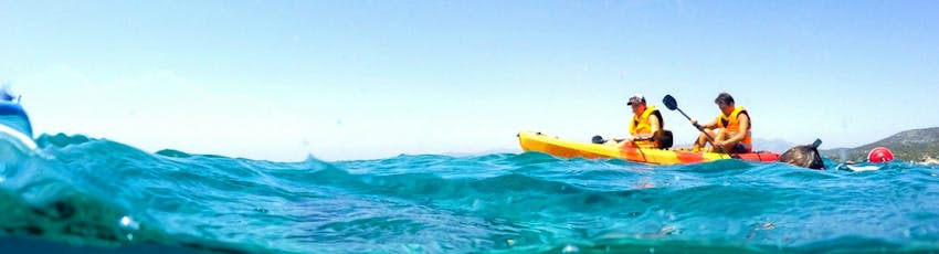 Aegean Marine Science & Island Conservation Internships in Greece