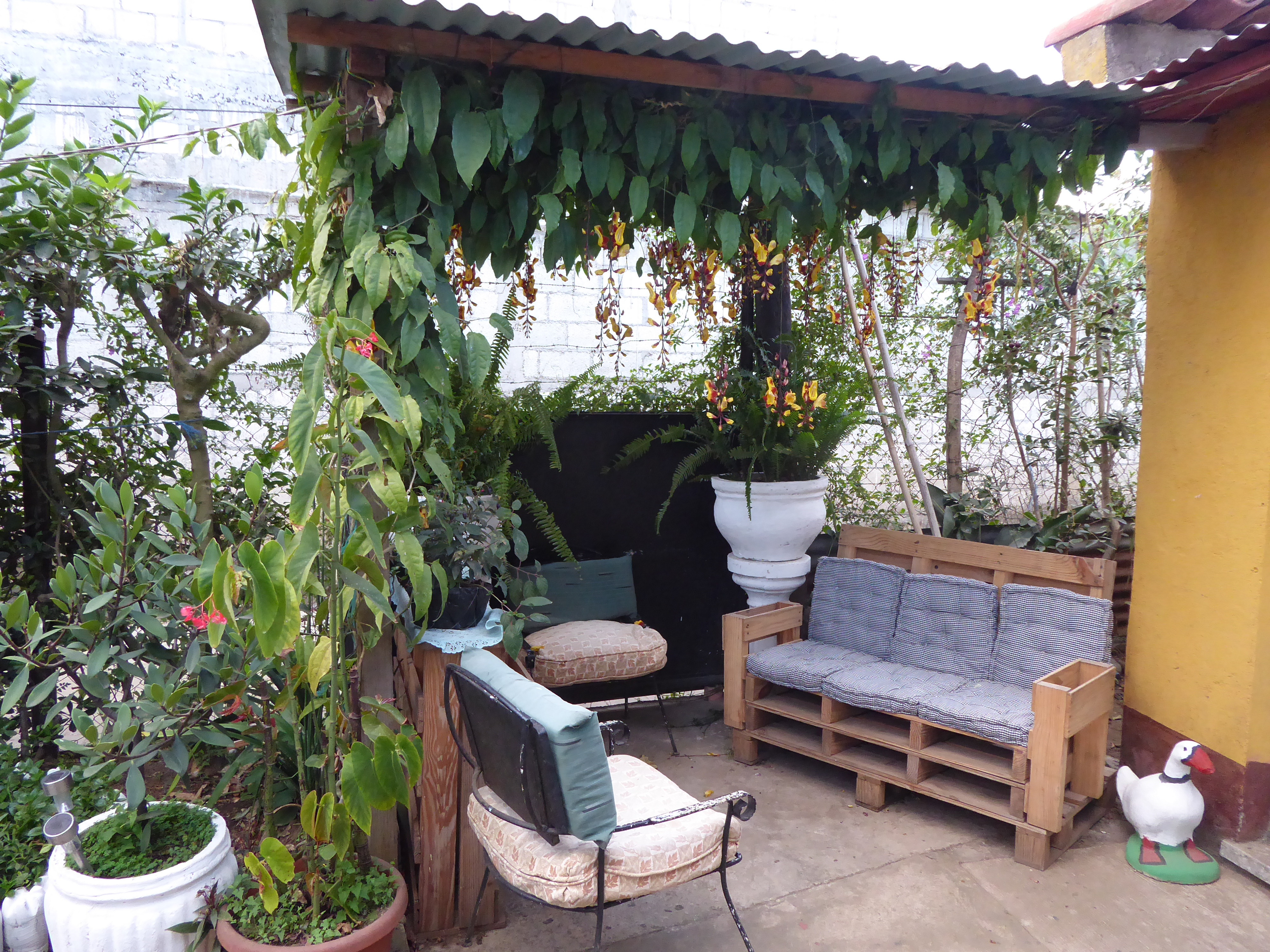 Internship homestay accommodation in Guatemala, Intern Abroad HQ